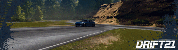 gif d21 4